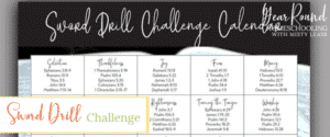 sword drill bible challenge, bible challenge sword drill, scripture sword drill challenge, sword drill challenge scripture, sword drill challenge, sword drill challenge calendar, challenge sword drill