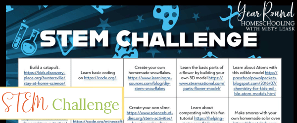 stem challenge, monthly stem challenge, challenge stem