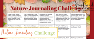 nature journaling challenge, nature journal challenge, nature journaling calendar, nature journal calendar