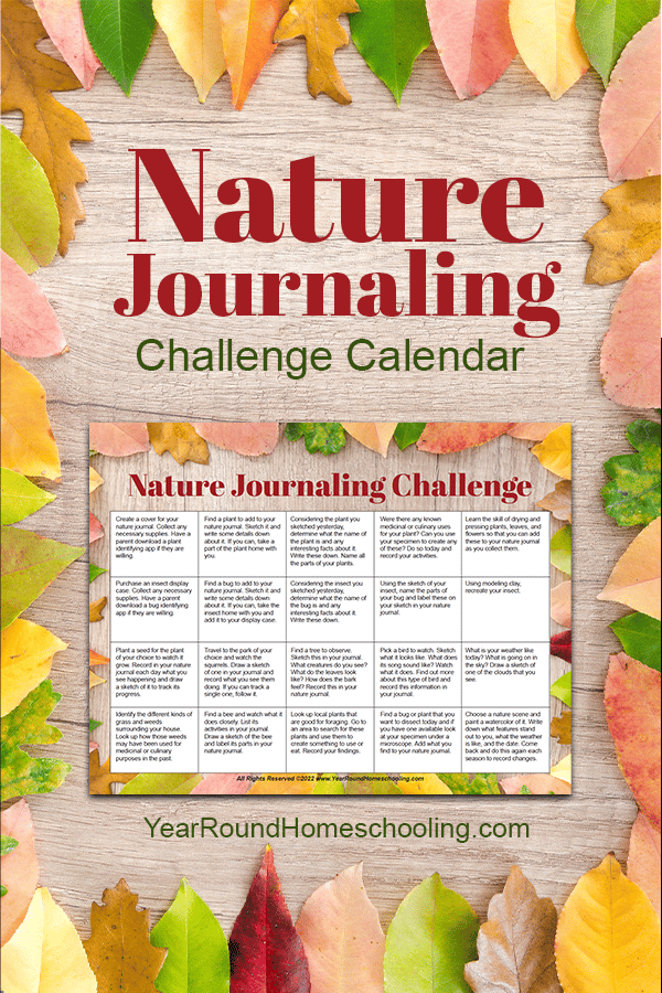 nature journaling challenge, nature journal challenge, nature journaling calendar, nature journal calendar