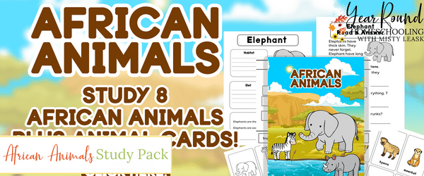 african animals study, african animals worksheets, african animals pack, african animals printable