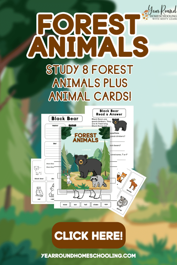 forest animals study, forest animals worksheets, forest animals pack, forest animals printable