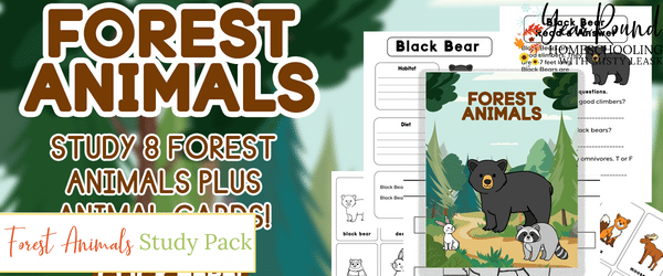 forest animals study, forest animals worksheets, forest animals pack, forest animals printable