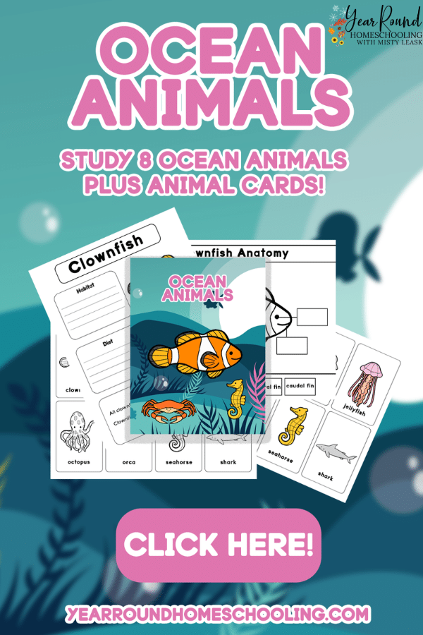 ocean animals study, ocean animals worksheets, ocean animals pack, ocean animals printable