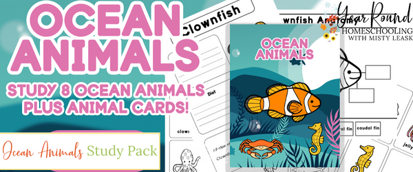 ocean animals study, ocean animals worksheets, ocean animals pack, ocean animals printable
