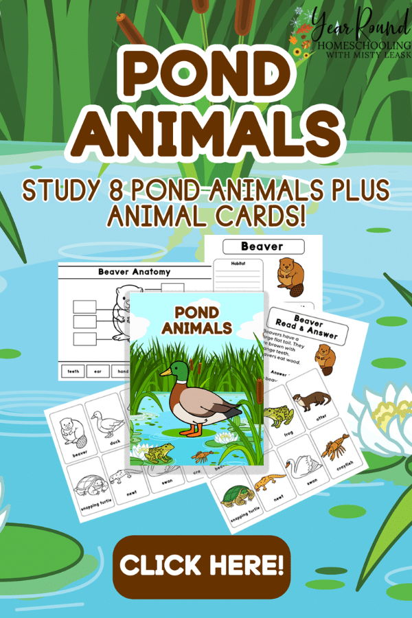 pond animals study, pond animals worksheets, pond animals pack, pond animals printable