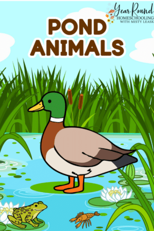 Pond Animal Worksheets
