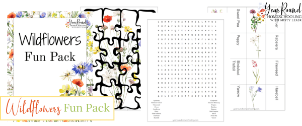 wildflowers fun pack, wildflowers games, wildflowers puzzles, wildflowers activities, wildflowers printable games, wildflowers printable puzzles, wildflowers printable activities