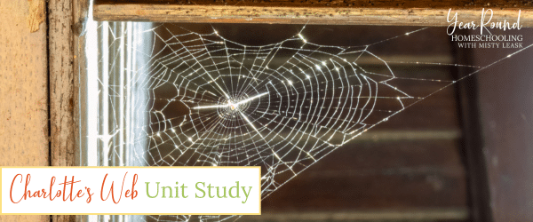 charlotte's web unit study, charlotte's web unit, charlotte's web study, study charlotte's web, unit charlotte's web, unit study charlotte's web